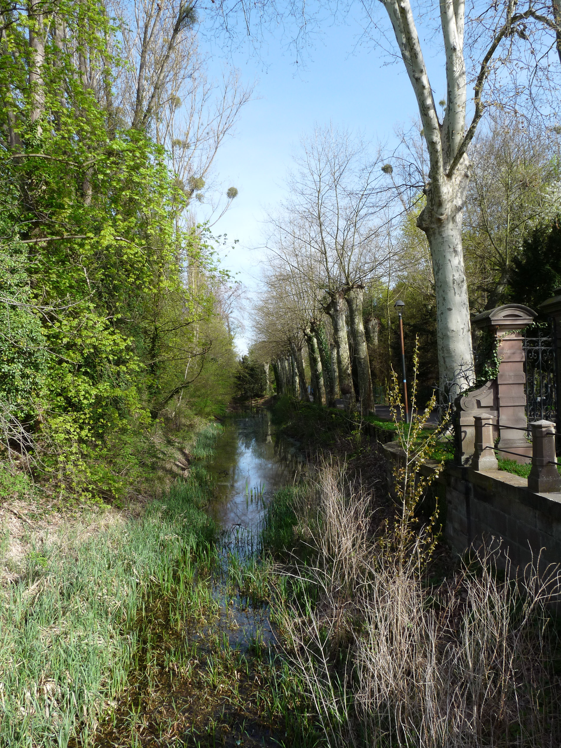 20180415095408 P1110106